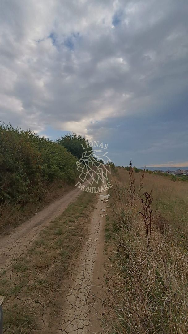 Teren intravilan 9400 mp,  ideal constructii, Dezmir, jud Cluj - Poză 9