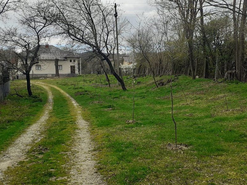 Casa de vanzare Domnesti Arges - Poză 9