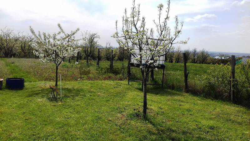 Teren extravilan in zona Oncea - Poză 3