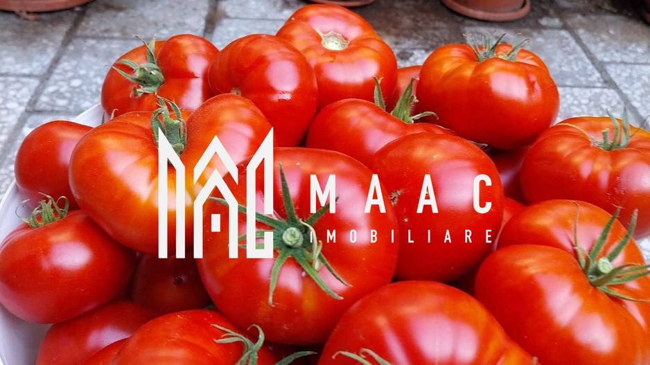 Proprietate cu 60000 mp pamant la pret de apartament - Poză 13