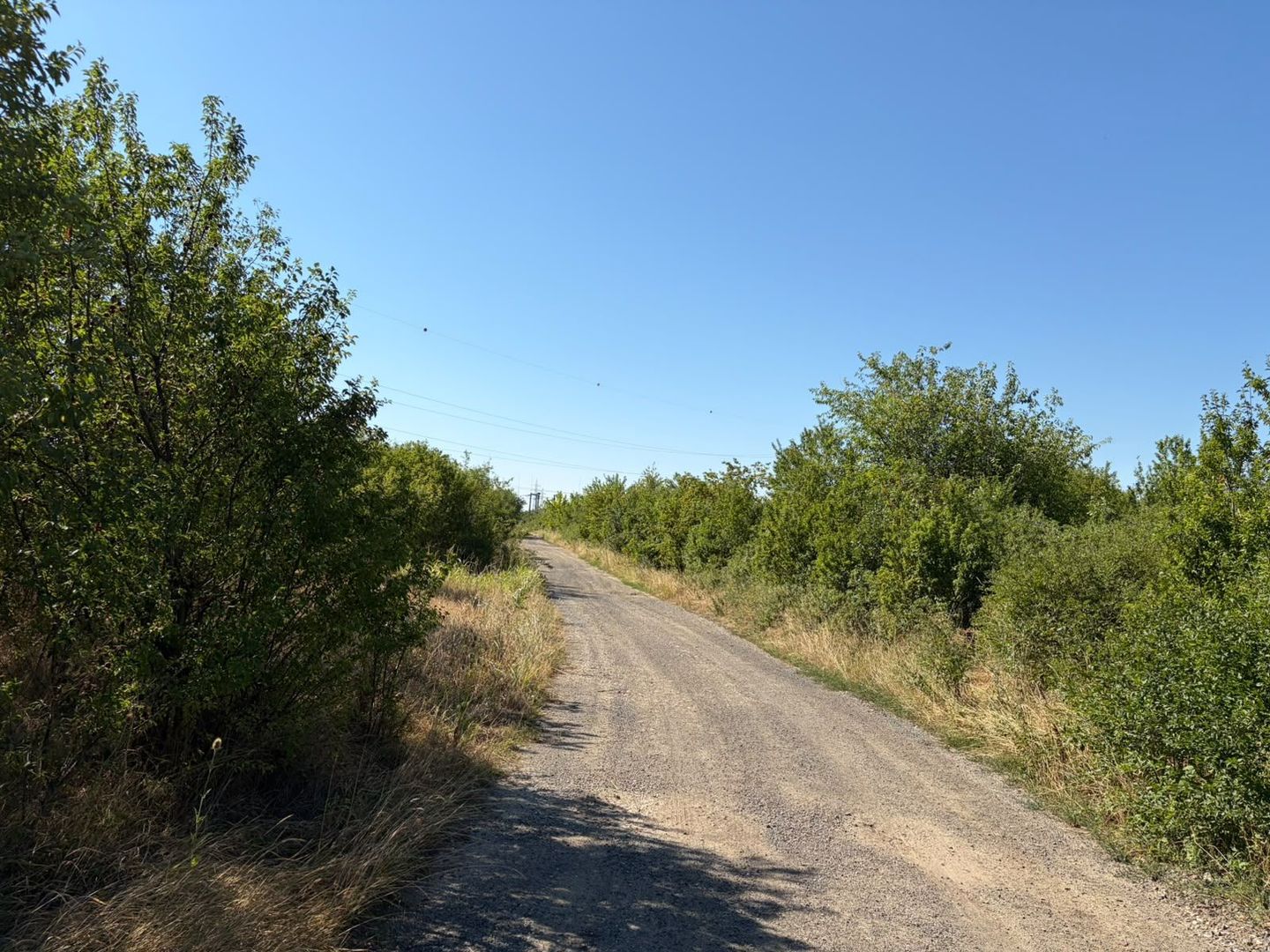 Vând teren langa Timișoara excelent pentru un parc de fotovoltaice - Poză 9