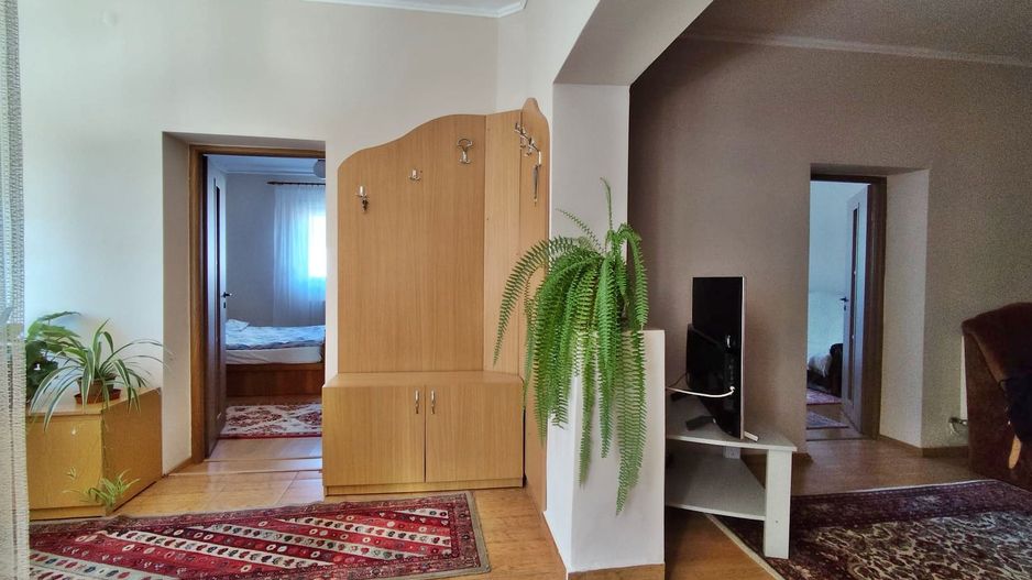 Casa la tara - teren 2826 mp, acces auto, in Sacadat, Bihor - Poză 3