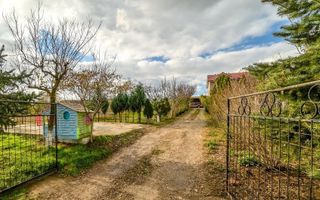 Vanzare ferma agricola Negru Voda - Constanta cu 240 hectare teren si utilaje - Poză 7