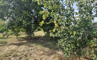 Teren 2000 mp de vânzare – Comana, deschidere la lac, aproape de Parcu - Poză 7