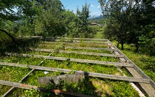 TEREN INTRAVILAN 2146 MP, ALBESTII DE MUSCEL, ARGES - Poză 13