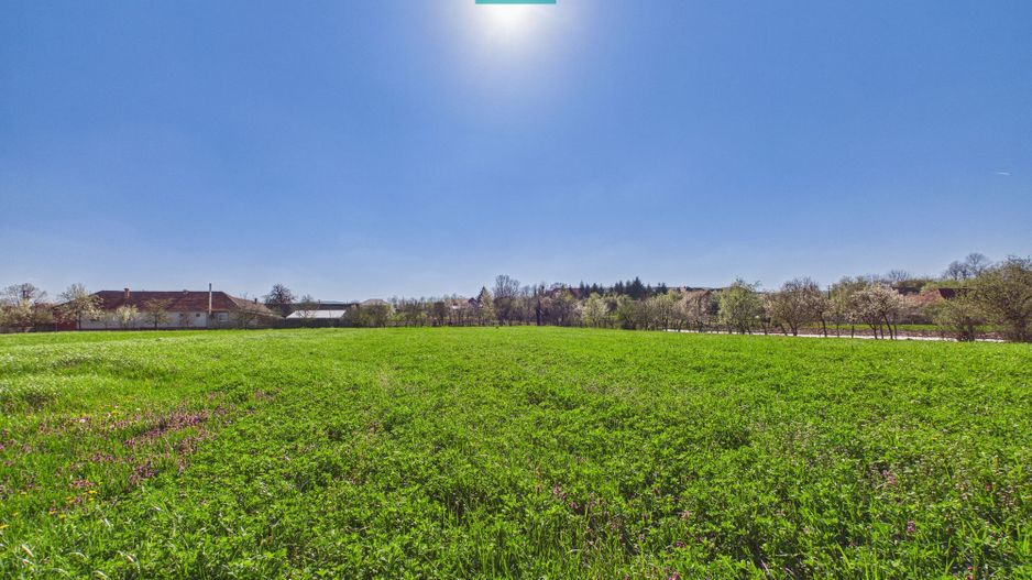 Teren intravilan 3024 mp, în comuna Almaș, Arad - Poză 2