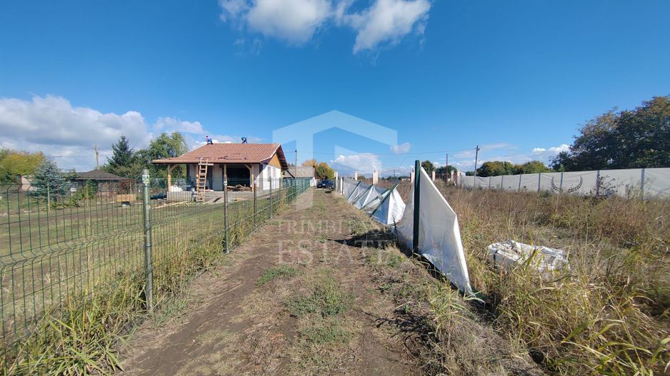 Gagu Dascalu teren ideal pentru investitie zona in dezvoltare - Poză 9