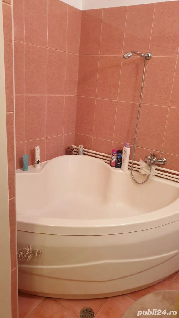 Casă cu teren generos de 1642 mp de vânzare în oraș (Zona Dâmbovița) - Poză 9