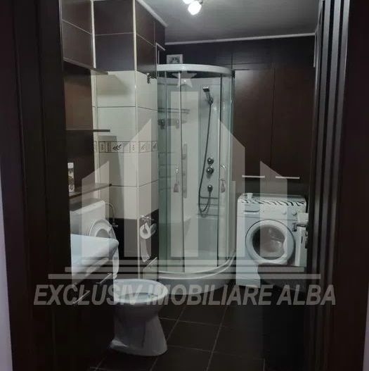 Apartament cu 2 camere de inchiriat, Cetate - Poză 7