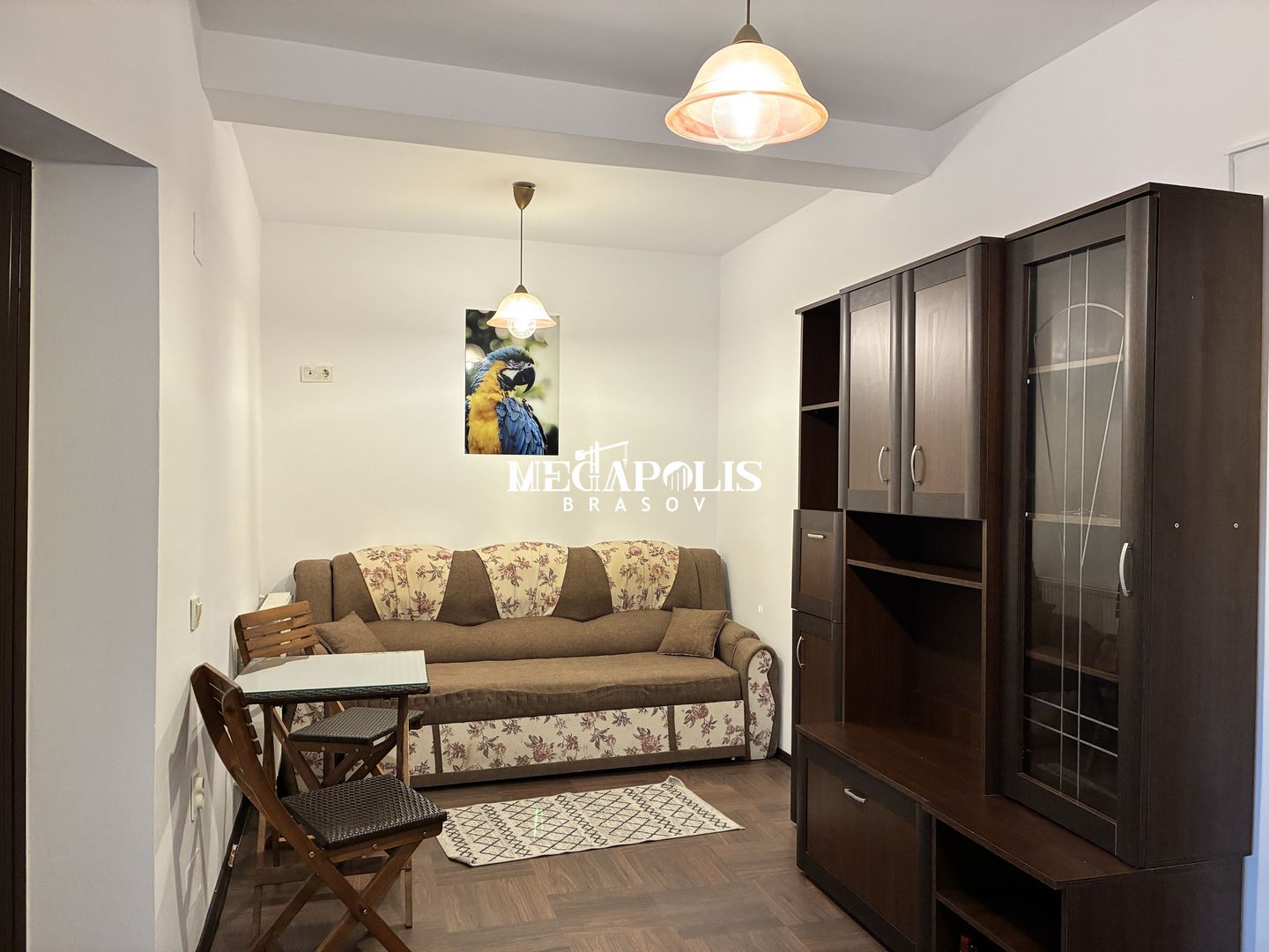 Studio / Tractorul / Pet- Friendly / Curte - Poză 6