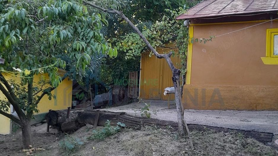 Gospodărie țărănească de vânzare cu 2 case și teren 6.700 mp, Cozia, jud. Iași - Poză 5