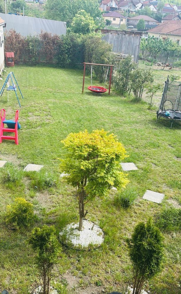 Casă 180 mp utili teren 710 mp panouri solare si hala in Sura Mare - Poză 13