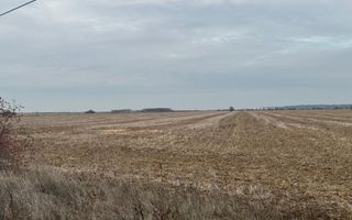 Teren vanzare zona Parcul logistic CTP ULMI - Poză 12