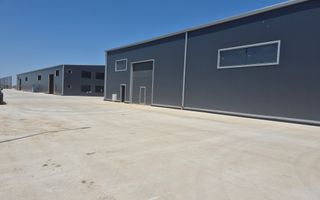 Parc Logistic Nou 2025 – Hale de Vanzare de 600 mp în Chitila-Rudeni - Poză 3