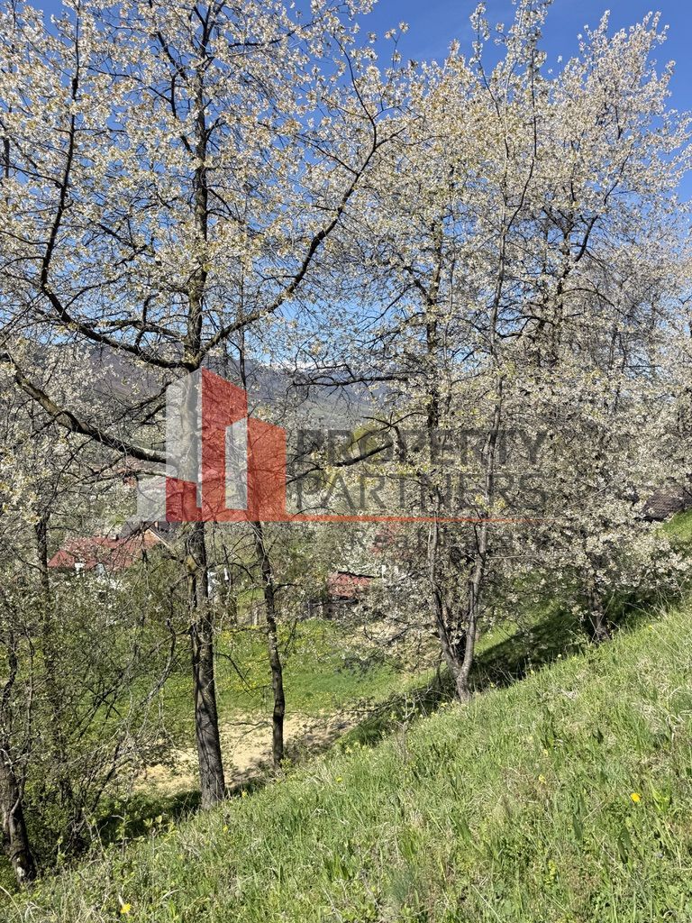 Teren 2500 mp Sohodol - Poză 14