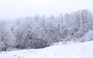 Teren cu izvor de apă minerală  Dangești, Punctul Valea Mare - Poză 9