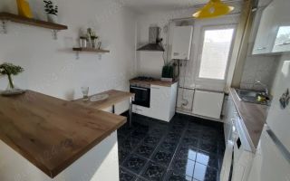 Apartament cu 2 camere de închiriat, zona Medicina/Take Ionescu - Poză 1