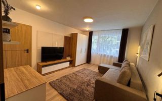 Închiriere apartament Premium, 2 camere, Cornișa, 100m de UMF - Poză 3