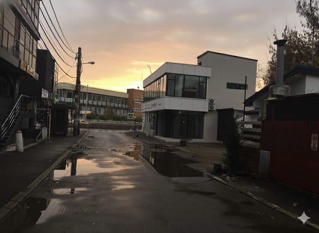 INCHIRIERE - spatiu comercial PIATA SUDULUI - parter, curte, parcare - Poză 16