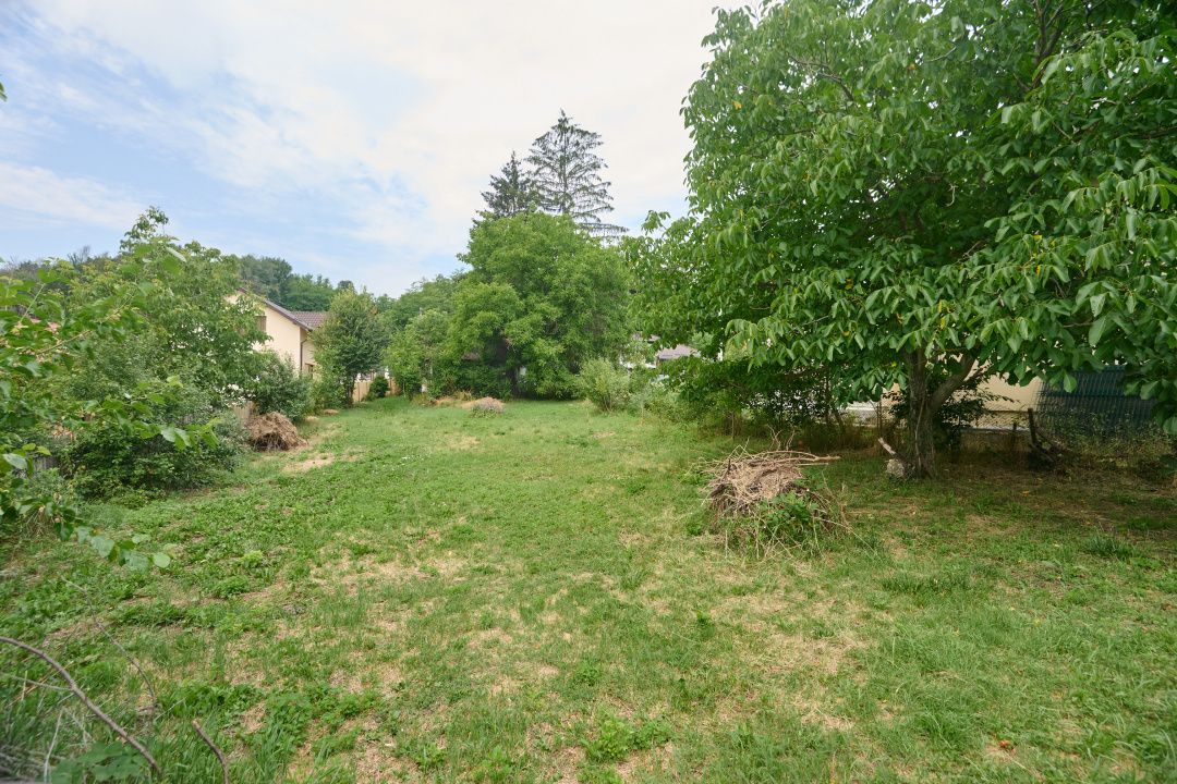 Teren 2240 mp intravilan + casa batraneasca Hintesti-Basangesti - Poză 8