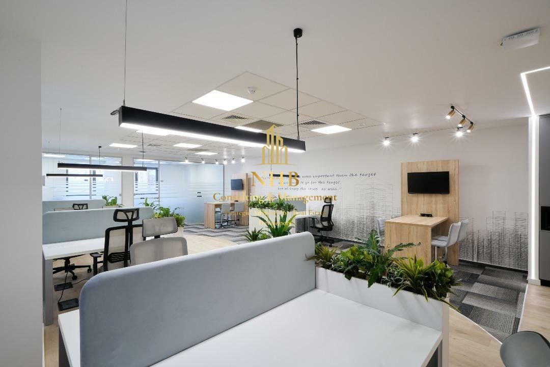 Birouri | Spaţiu Coworking | Universitate - Poză 12