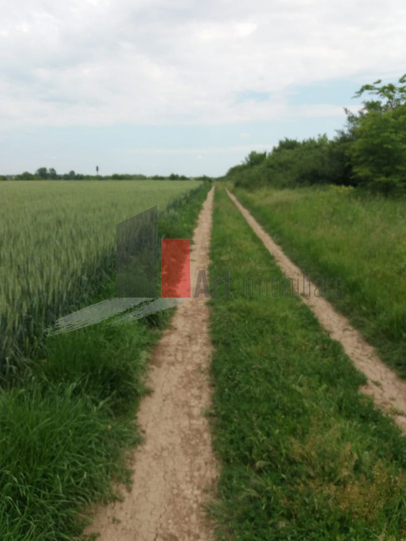 Teren Buftea cu iesire la lac - Poză 4