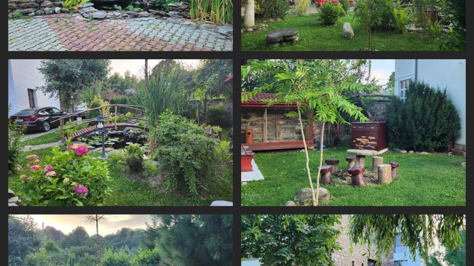 Vila Horezu Romanii de Jos - Poză 21