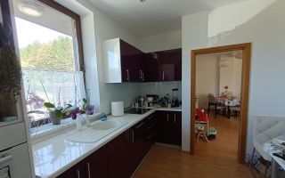 Locuință modernă într-o zonă verde, zona Faget - Poză 7