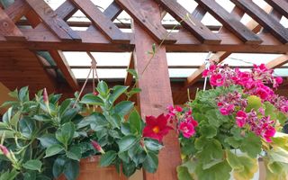 Casă de vacanță modernă cu teren generos –15min de Tecuci - Poză 20