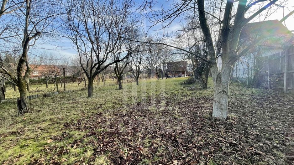 Teren intravilan 1.915 mp + cabană din lemn | Tocile – Sadu - Poză 3