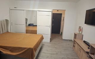 Garsoniera renovata, Berceni, Turnu Magurele/Obregia - Poză 1