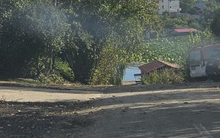 Teren intravilan, Izvorani, Str. Ml. Averescu, oportunitate - Poză 2