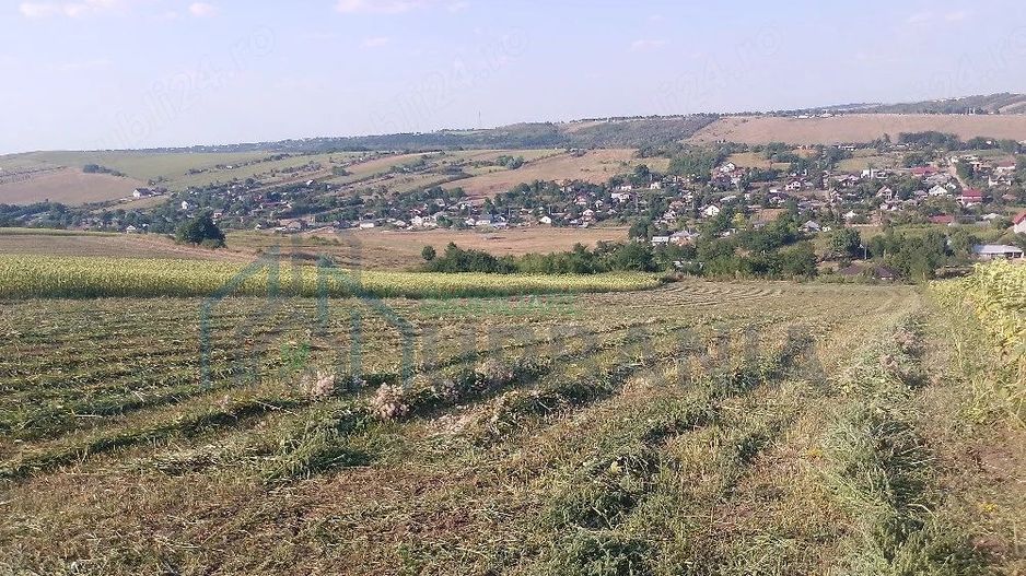 Teren extravilan de vânzare în Vânători, comuna Popricani - Poză 3