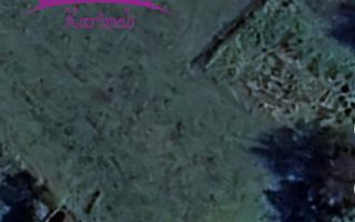 Teren intravilan Sumugiu - Poză 3