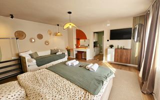 Casă lângă Cetatea Alba Carolina – Afacere la cheie sau Casă de locuit - Poză 8