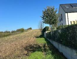 Teren Intravilan cu Proiect și Avize Valabile, Lețcani - Poză 2