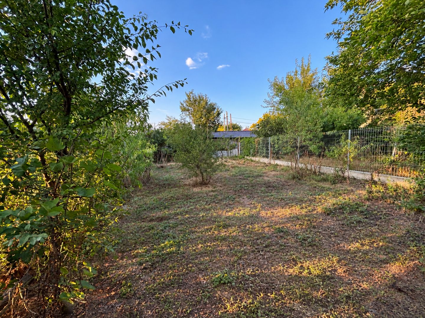 Casă cu teren 460mp | Valu lui Traian - Poză 5