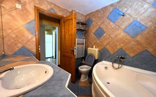 3 camere, Plopilor,Parcul Rozelor, Hatieganu,Calvaria,PET Friendly - Poză 7