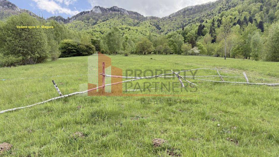 Teren intravilan 5.261 mp Tohănița | Deschidere 49 m | Utilități, lângă pădure - Poză 8