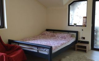 Cabana 160 mp-teren 5 ari-Foisor cu barbecue-La cheie-Colibita - Poză 3