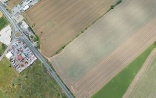 Teren extravilan 12.000 mp DN79 Arad-Oradea - Poză 12