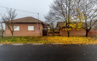 De vânzare Casă cu Grădină Generoasă in Dorobanți