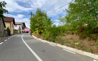 Teren 4.000 mp | Front Generos 47 ml | Utilități | La Asfalt | Cricău - Poză 2