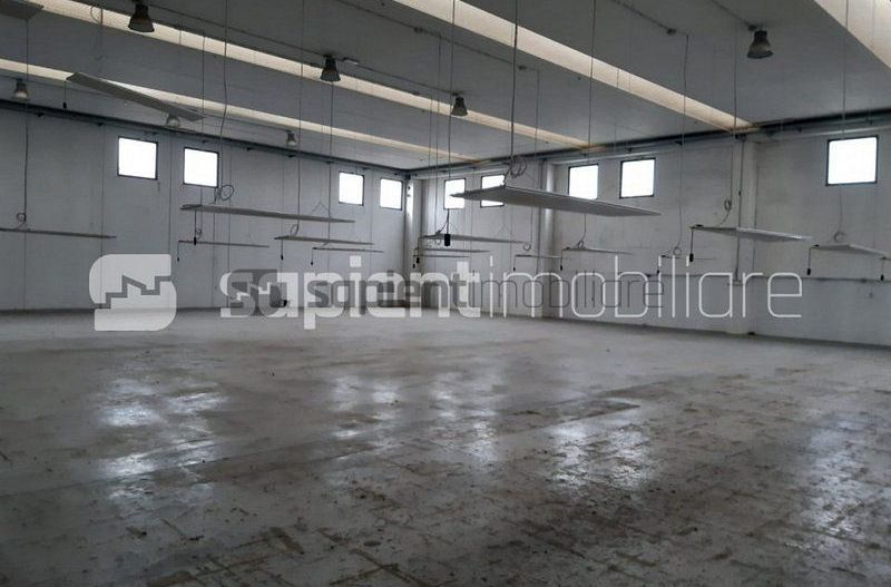 Sapient | Hala situata in com. Borș - Poză 3