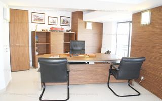 APARTAMENT 8 camere  VICTORIEI (Birouri / Rezidenta de lux ) - Poză 28