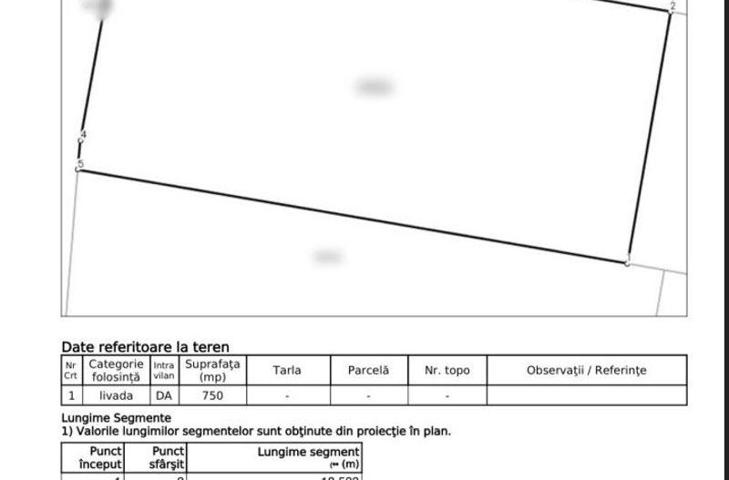 Teren intravilan 750mp de vanzare in zona Saldabagiu de Munte - Poză 3