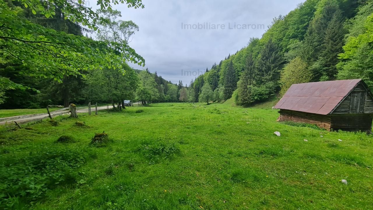 13005 mp teren faneata in Bran Simon cu fornt de 57 mp - Poză 5