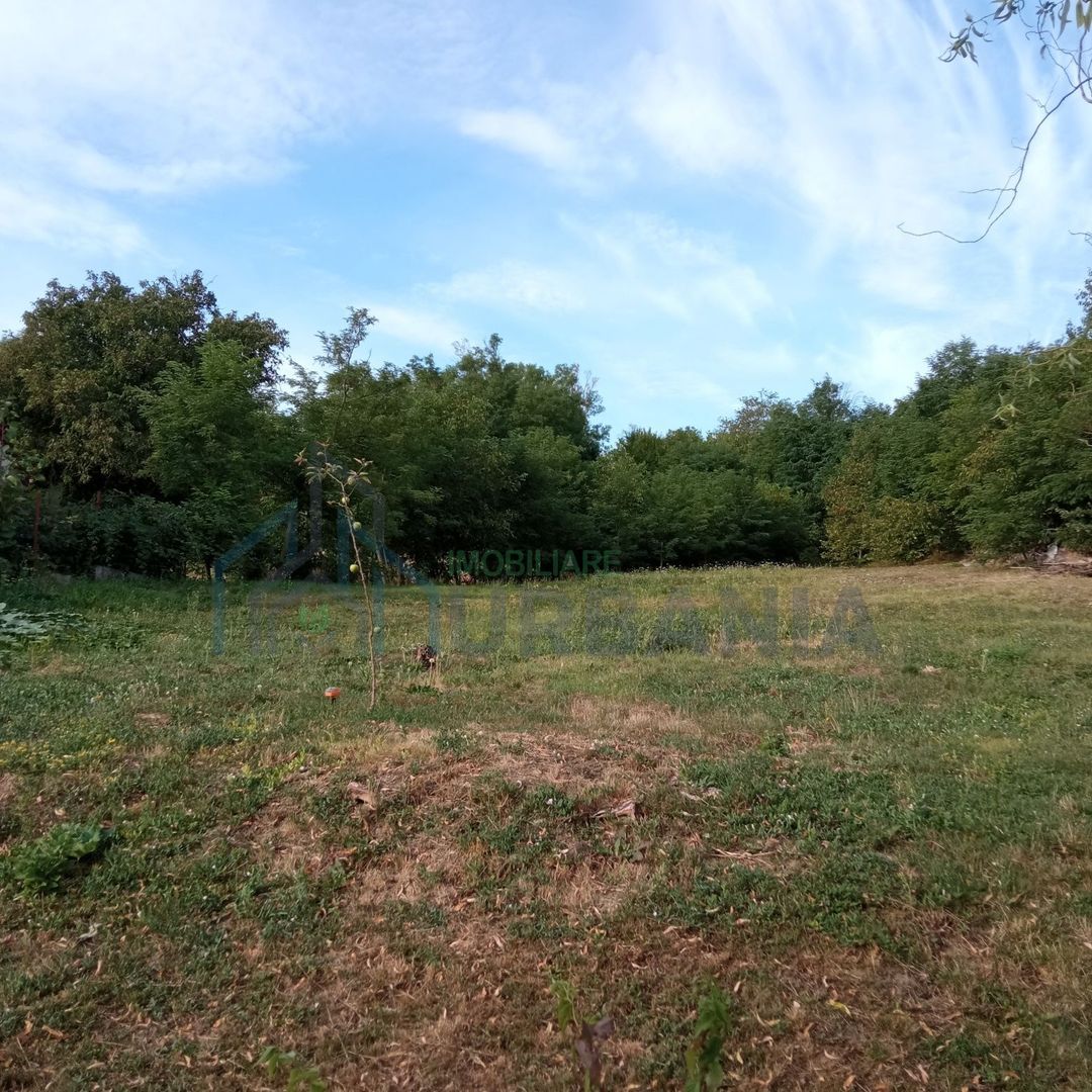 Teren de vânzare în zona Rediu, Iași – 1.000/2.000 mp - Poză 2