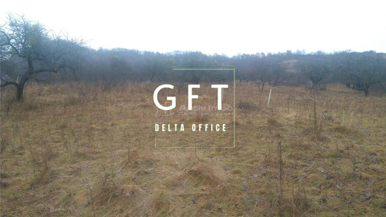 Teren de 1300 mp extravilan- limita intravilan- UNIREA- investitie/cabana - Poză 2