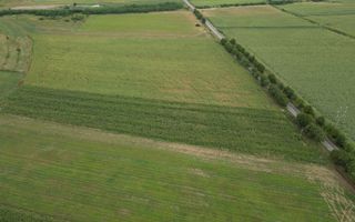 Teren de 4.400 mp Racova - Poză 3